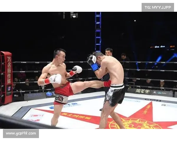 铁英华实力怎么样